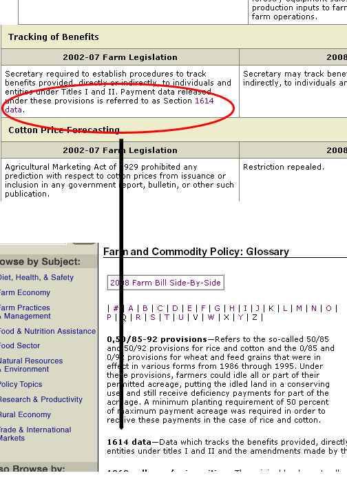 screen shots linking highlighted term to glossary page