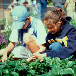 From Farm to School