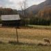 Barn in a field