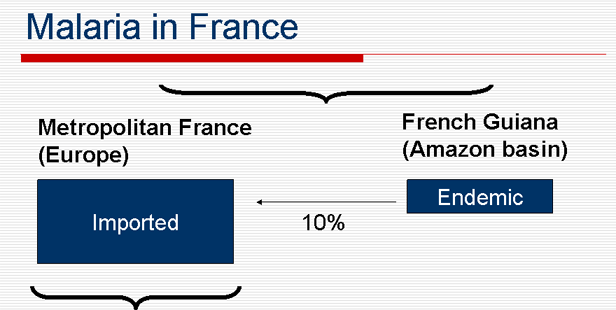 Malaria in France, imported and endemic