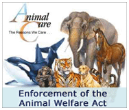 Link to USDA Animal Care home page