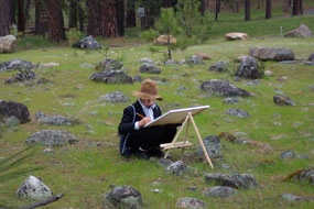Young pioneer working on his project in the meadow.