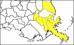 Seven NOMA Parishes:  Jefferson, Orleans, Plaquemines, St. Bernard, St. Charles, St. John the Baptist, St. Tammany