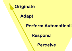 yellow triangle:  originate, adapt perform automatically, respond, perceive
