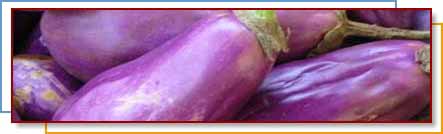 Photo of eggplants