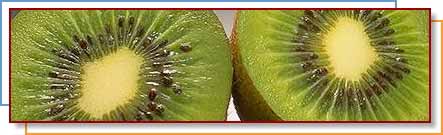 Photo of sliced kiwifruits