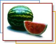 AllSweet Watermelon