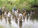 Volunteers receive training for Oklahoma’s Blue Thumb program, a nonpoint source pollution monitoring and education program  (NRCS photo -- click to enlarge)