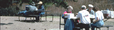 a photo of a picnic area