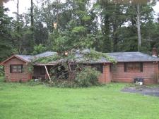 [ tree down on house ]