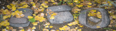 Grinding stones along the trail at Aztec Ruins
