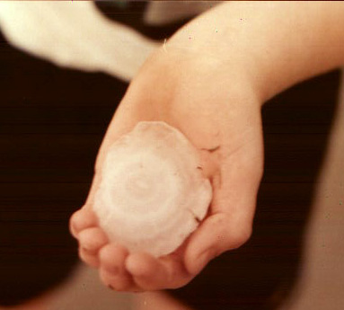 This is BIG hail for GA!