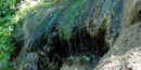 Close up of spring water dripping over algae covered rock formation.