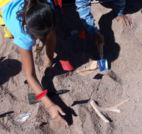 students excavate replica archeological artifacts