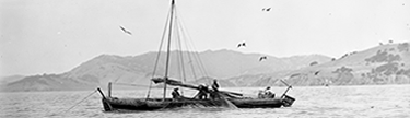 A historic photo of Chinese fisherman on a shrimp junk pulling in their net.