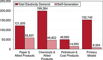 Figure 23. The Largest Electricity-Consuming Industries and Their Generation, 1994