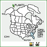 Distribution of Pluchea foetida (L.) DC. var. imbricata Kearney. . 