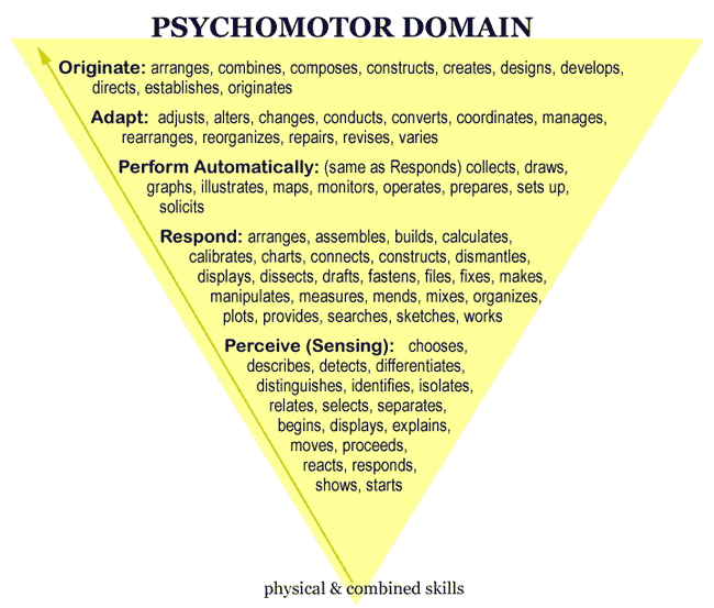 yellow triangle:  originate, adapt perform automatically, respond, perceive