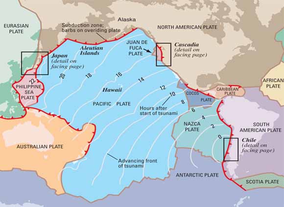 map of Pacific basin showing tectonic plates