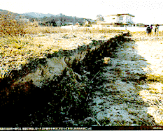 Close-up of fault scarp