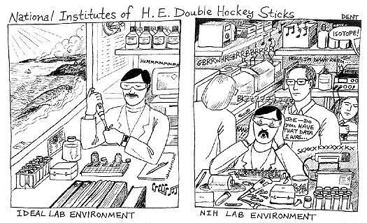 National Institutes of H. E. Double Hockey Sticks