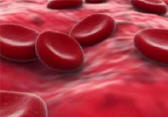 red blood cells