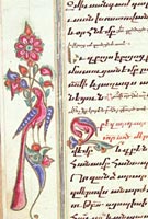 Peacocks often were depicted in illuminations of medieval Armenian manuscripts. This brightly colored example is one of many artistic devices placed in the margins of another missal, also copied in 1722 and owned by the Library. 