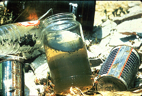 Mosquito habitats created in the water of discarded jars