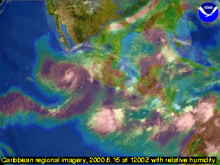 Caribbean regional imagery, 2000.6.15 at 1200Z with relative humidity.
