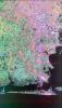 Space Radar Image of Houston, Texas