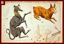 Canis Major, Lepus, Columba Noachi and Cela Sculptoris. 1825