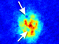 Computer graphic showing quantum vortices formed when atoms expand for 50 thousandths of a second.