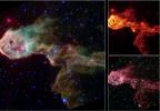 Multi-Wavelength Views of Protostars in IC 1396