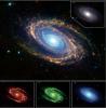 Multi-Wavelength Views of Messier 81