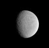 The sun's low angle near the terminator highlights the topography of 
craters within Rhea's wispy terrain