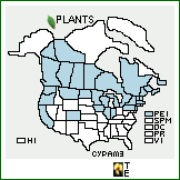 Distribution of Cypripedium parviflorum Salisb. var. makasin (Farw.) Sheviak. . 