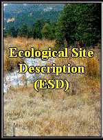 Link to the Ecological Site Description website