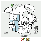 Distribution of Allium cernuum Roth var. obtusum Cockerell ex J.F. Macbr.. . 