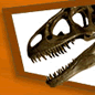 Visit the Dino Directory