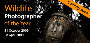 Wildlife Photographer of the Year coming soon