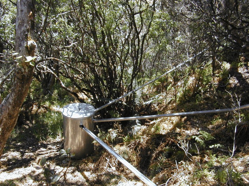 throughfall collector at Waikamoi site