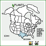 Distribution of Scutellaria ovata Hill ssp. mexicana Epling. . 