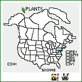 Distribution of Scutellaria ovata Hill ssp. virginiana Epling. . 