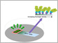 schematic drawing of monolayer self-assembly process