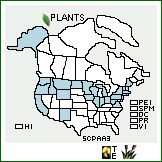 Distribution of Scheuchzeria palustris L. ssp. americana (Fernald) Hultén. . 