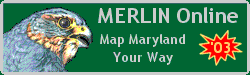 MERLIN Online Logo