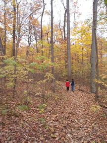 children in pioneer mothers memorial forest