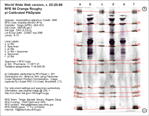 Calibrated IEF Gel Image