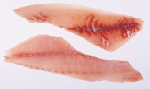 Crustacean Image