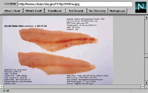 RFE Page 1b Fish Fillet image